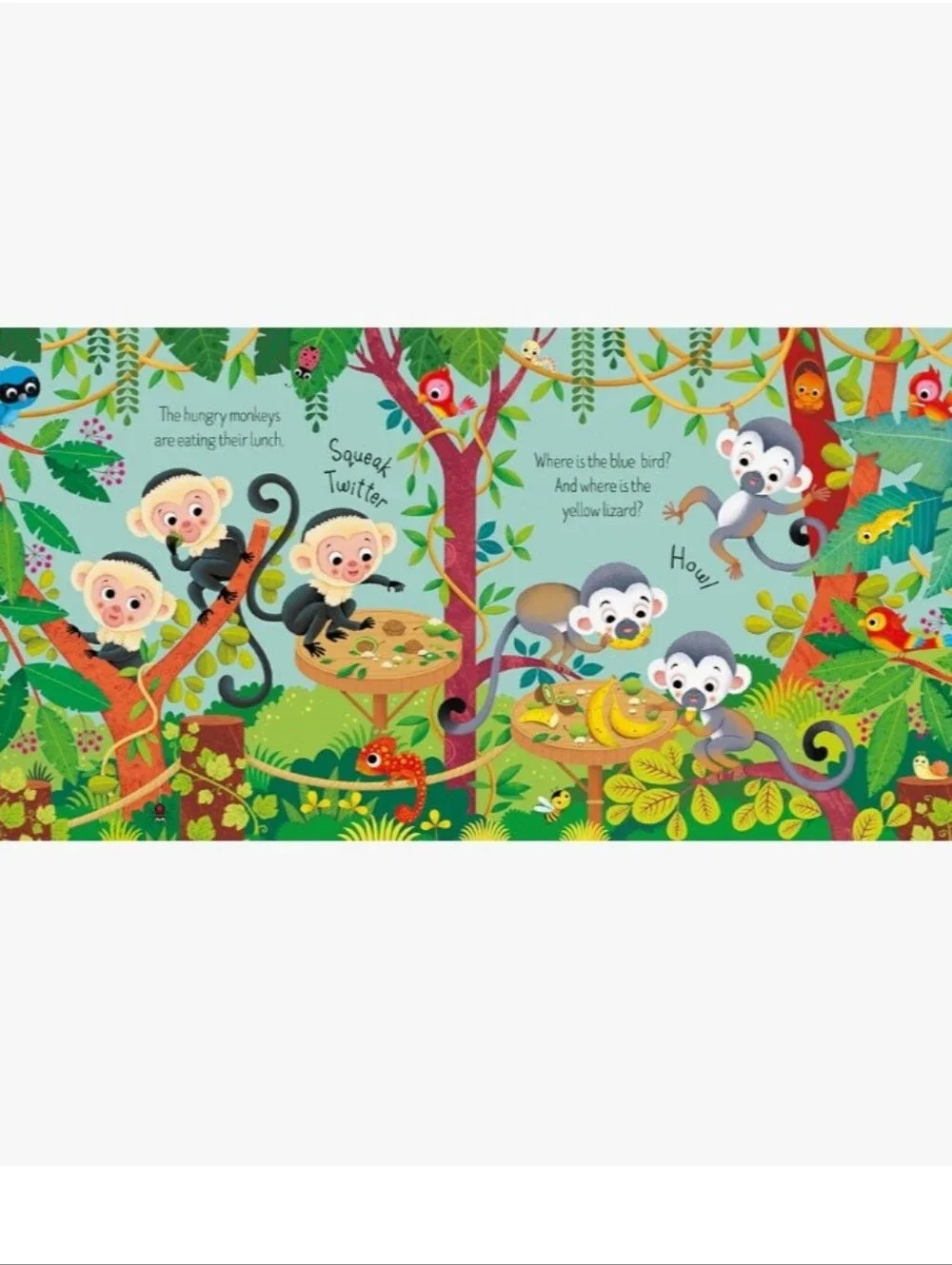 usborne new zoo